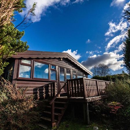 Log Cabin Nr Coed Y Brenin By Seren Short Stays Trawsfynydd ภายนอก รูปภาพ